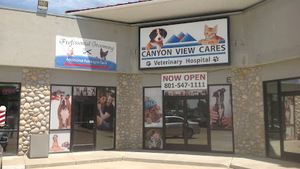 Layton Location