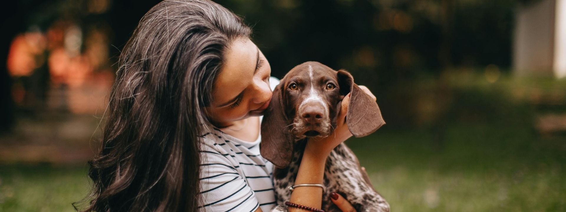 dog with owner 