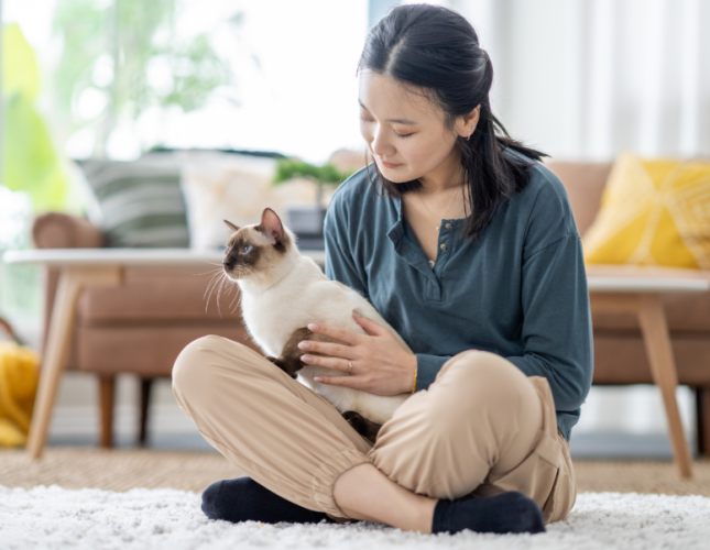 When Everyday Items Become Emergencies: 10 Common Pet Toxins