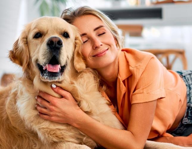 A Clean Home and Safe Pets: Spring Cleaning Mistakes Pet Owners Should Avoid