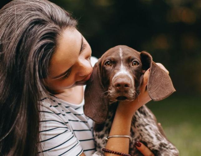 Summer Should Be Fun for Pets, Too: Helping Dogs and Cats Cope with Fireworks and Storm Anxiety
