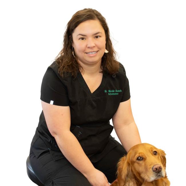 Dr Nicole Busch